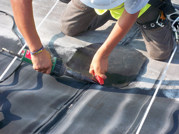 ����Ĥʩ���F(xi��n)��