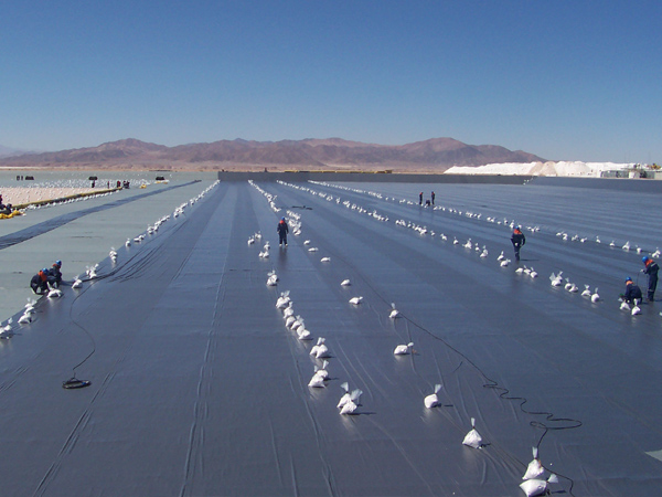 ����Ĥʩ���F��