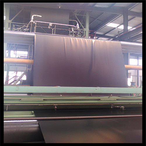 ��ɫ����Ĥ