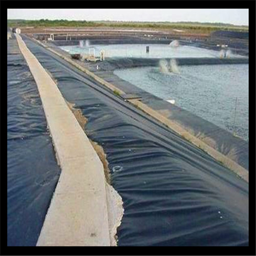 ��ʲô�f(shu��)�B(y��ng)�~(y��)�ر���M(j��n)�з��B̎����