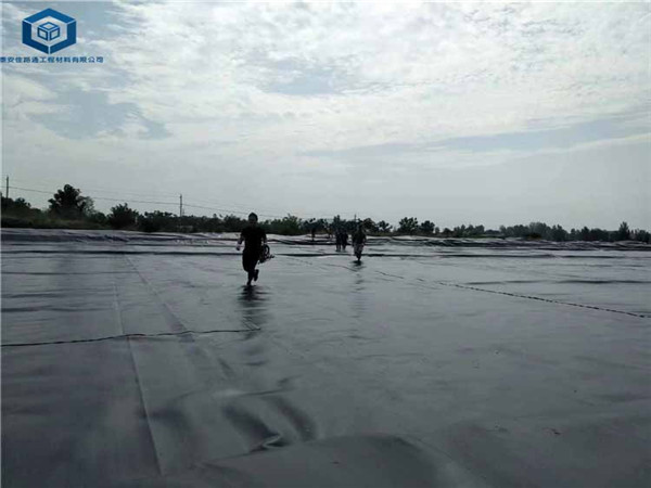 ���^���BĤ�������˹������칤��