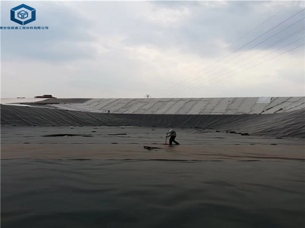 �����ط��BĤ���ں����Bֳ��