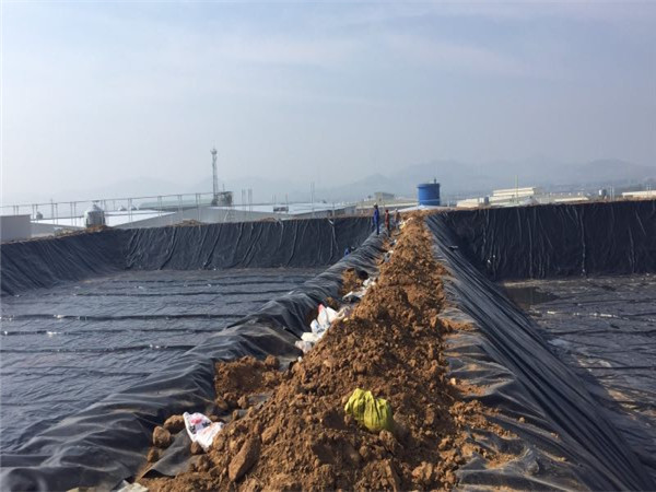 ����������Ĥ���ڟ��_ĳ�B�i���UҺ̎���Ŀ