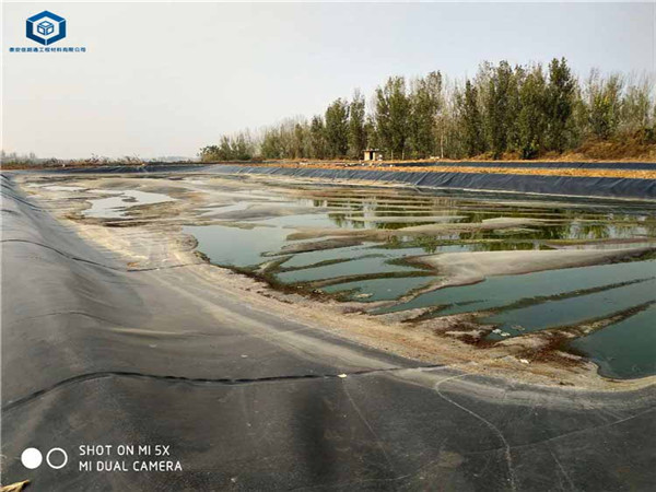 ��Һ�ط��BĤ��O