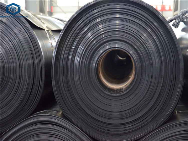 ����Ĥ�aƷ