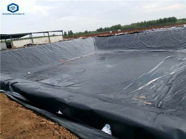 ��������O