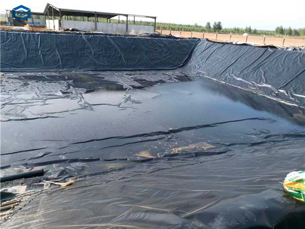 ��������O