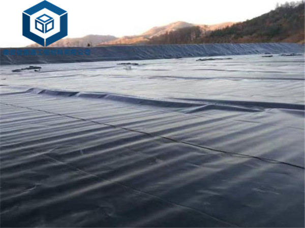 �F�Vβ�V���BĤ��������β�V���B�h���Ŀ