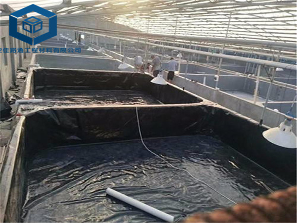 �ؑc�~�����BĤ�������ؑc����С���r�Bֳ