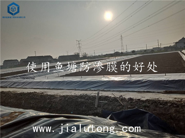 �~�����BĤ